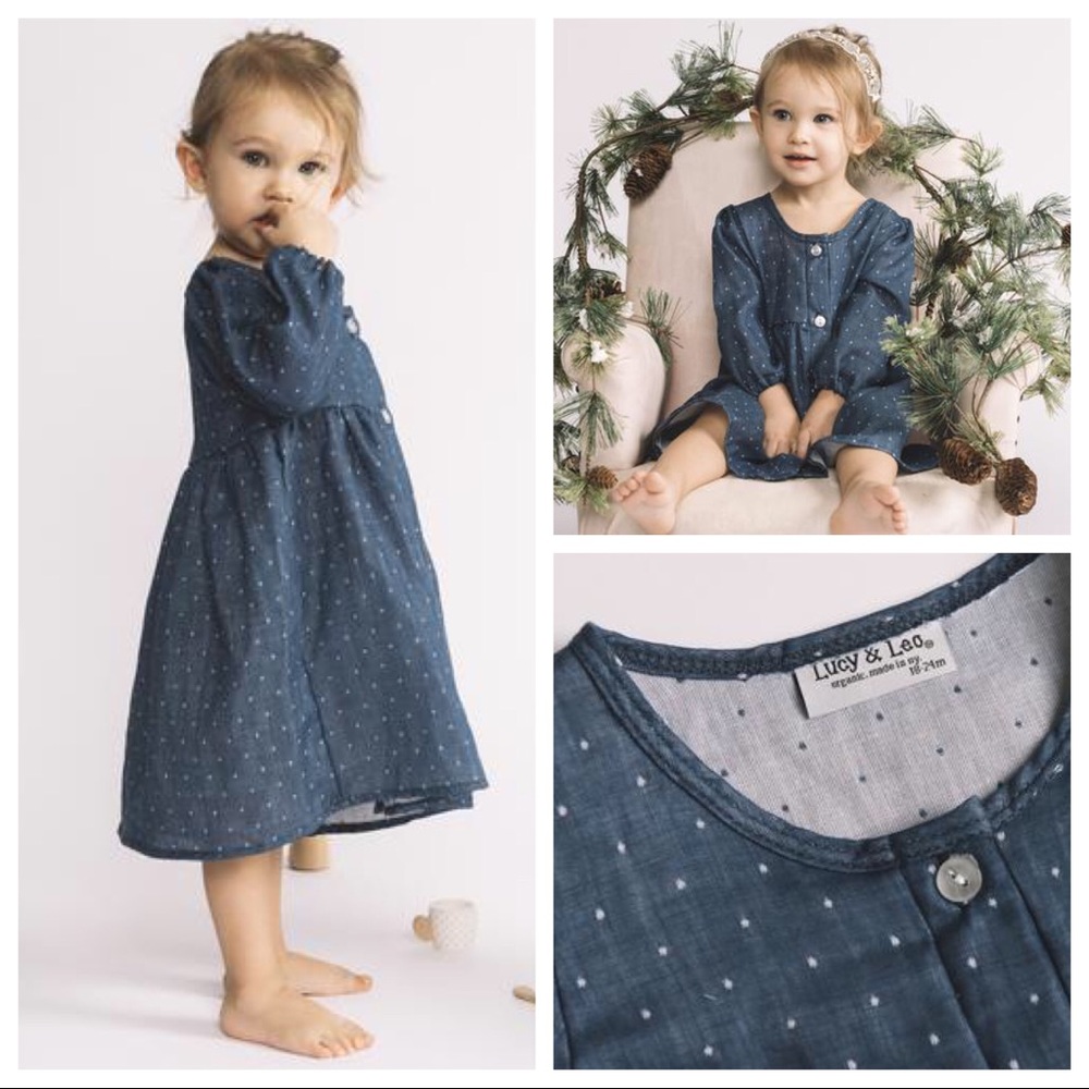 Lucy and Leo Ravenswood Polka Dot Button Dress